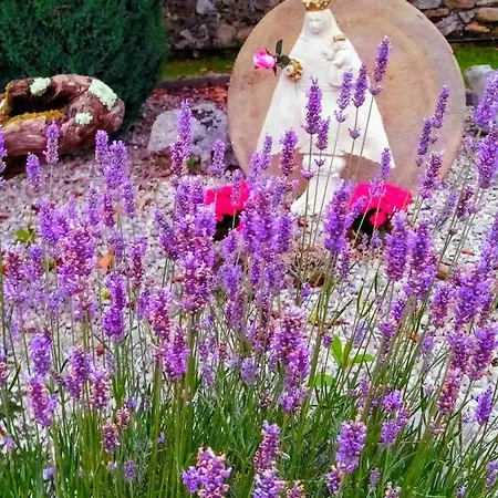 La Granda De La Concha * 努埃瓦德兰斯